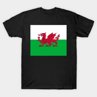 Wales (Cymru) - The Welsh Dragon Flag - Plain and Simple T-Shirt